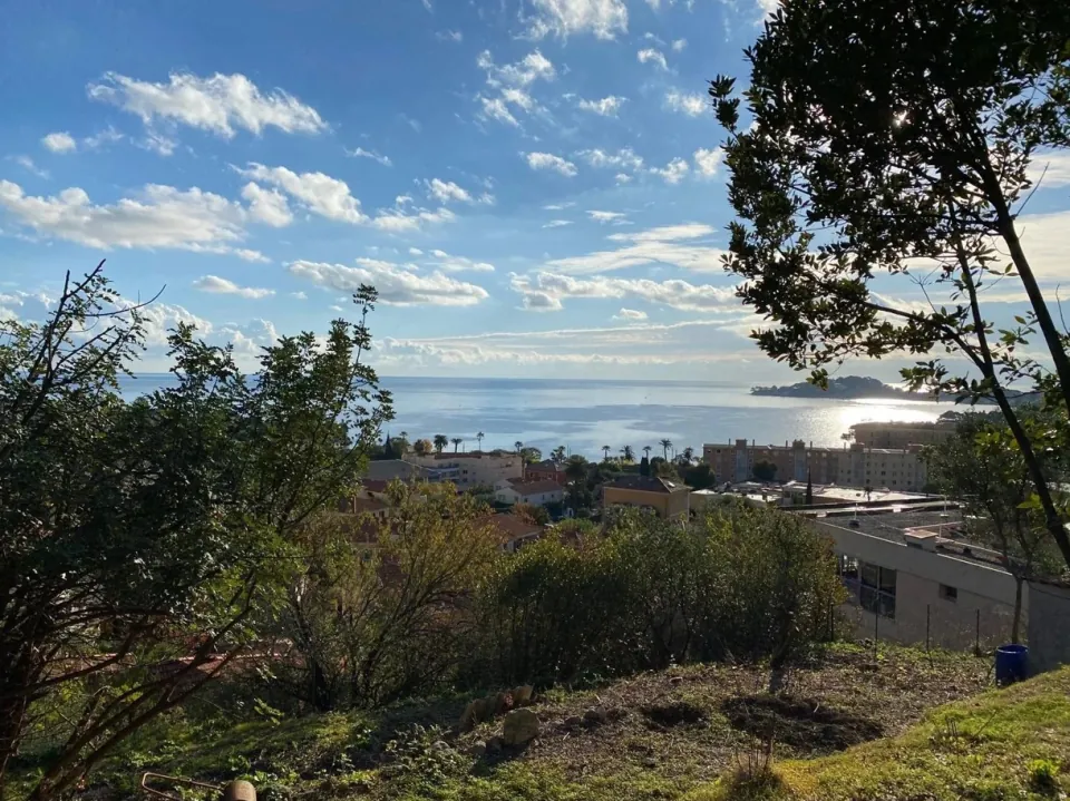 View from an overgrown plot in Beaulieu-sur-Mer: trees in the foreground, the rooftops of the town, then the glittering sea and a headland against the light