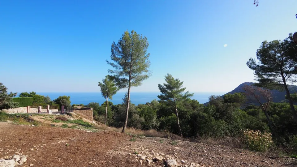 Bare earth plot in the hills above La Turbie, pines and maquis, the sea on the horizon under a blue sky