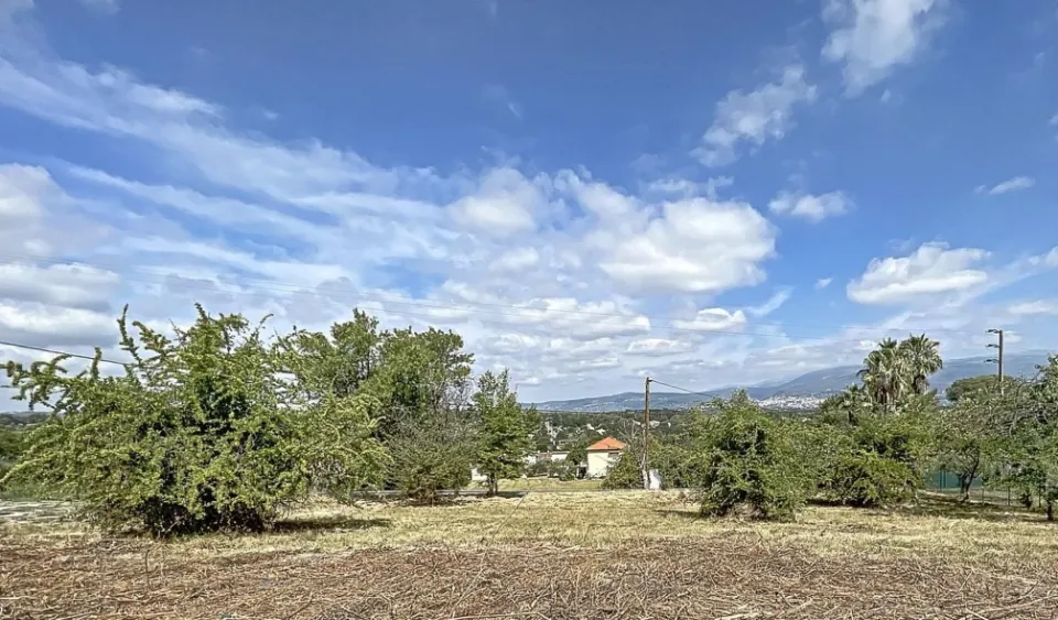 Overgrown plot in Mougins, dry grass and shrubs, an open view towards the plain of Grasse and the hills under a cloudy sky