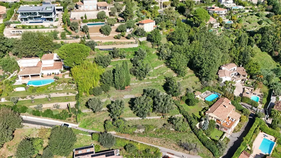 Drone view of a large terraced plot planted with olive and cypress trees, surrounded by villas with pools, in the hills above Vence
