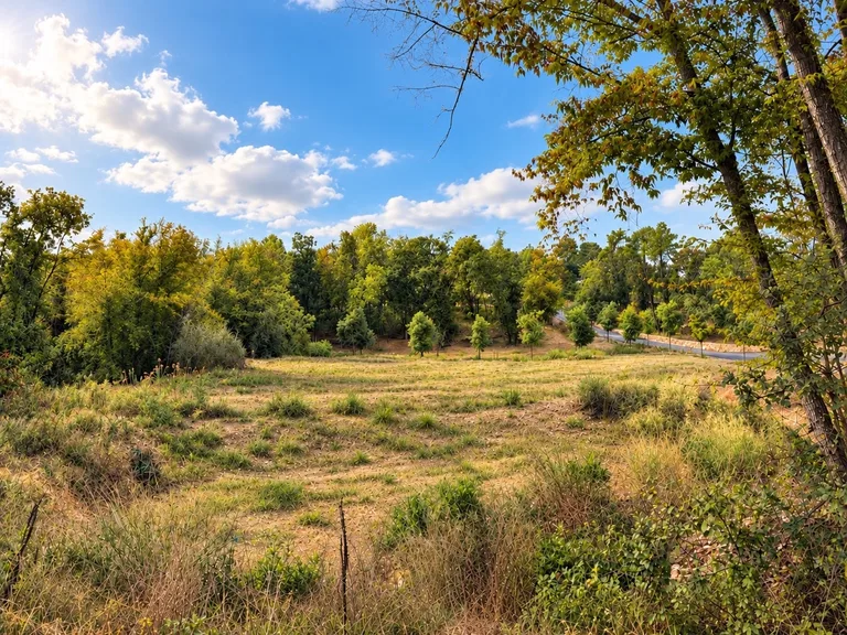 Terrain constructible de 2 979 m² à Roquefort-les-Pins, photo 5