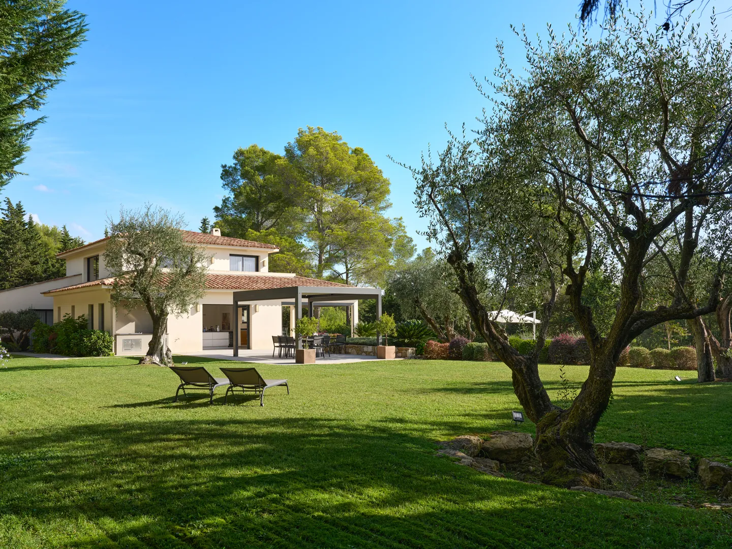 Grande pelouse avec olivier centenaire et transats, villa et pergola en fond