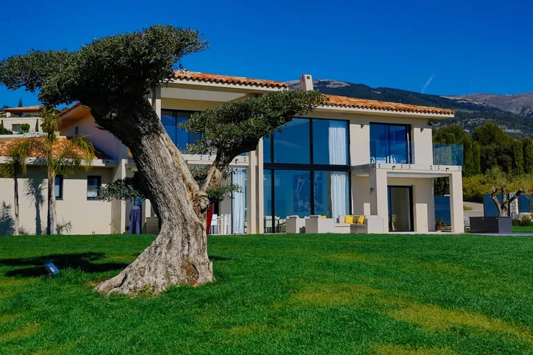 Olivier taillé sur la pelouse devant la façade vitrée de la villa