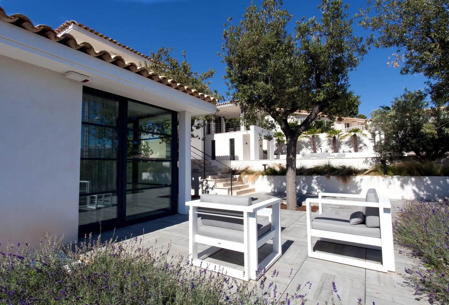 Terrace with white armchairs, olive tree and lavender border, villa behind