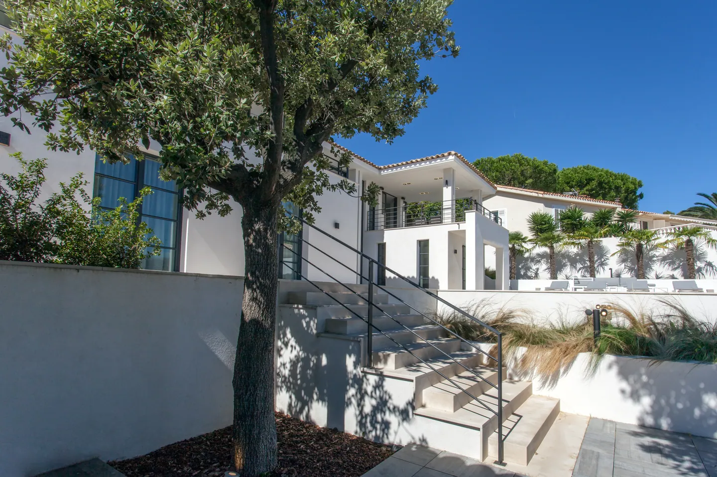 Outdoor steps leading to the villa, large tree and grasses along white walls