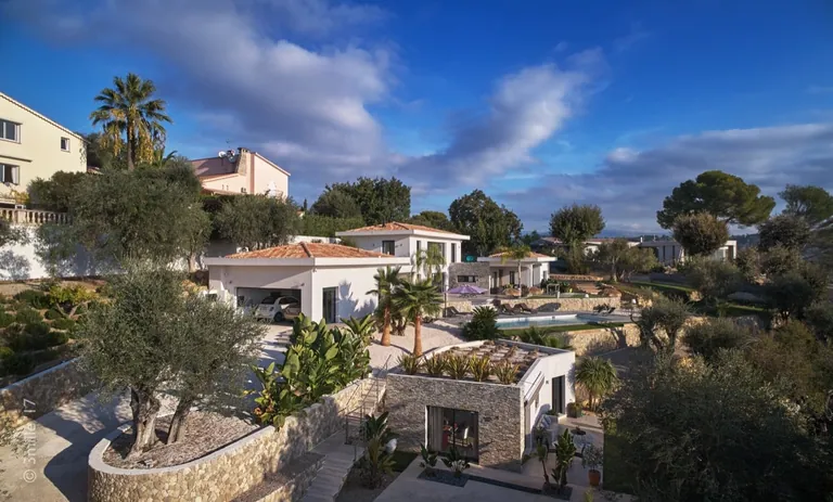 Elevated view of the access side: garage, driveway, annex with planted roof and main house