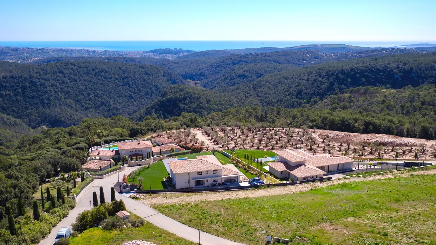 Aerial view towards the sea, the villa set between an olive grove and wooded hills