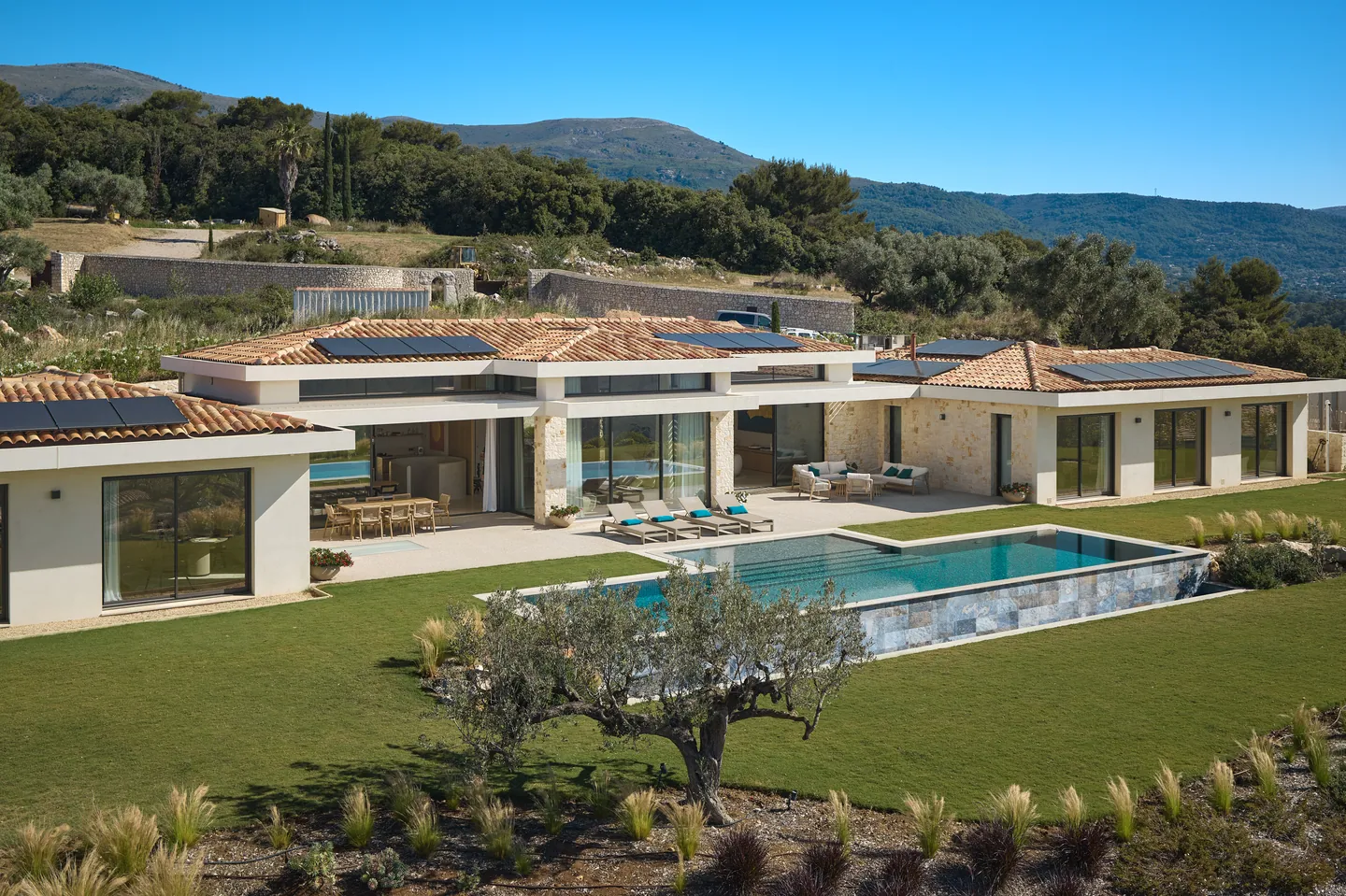 Vue de trois quarts de la villa et de sa piscine, pelouse et olivier au premier plan