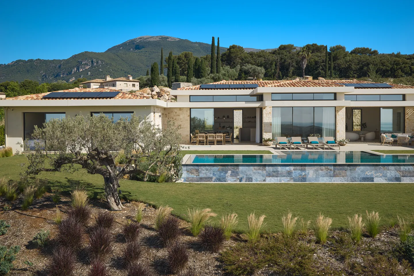 Piscine à débordement et olivier devant la façade vitrée, montagne en arrière-plan