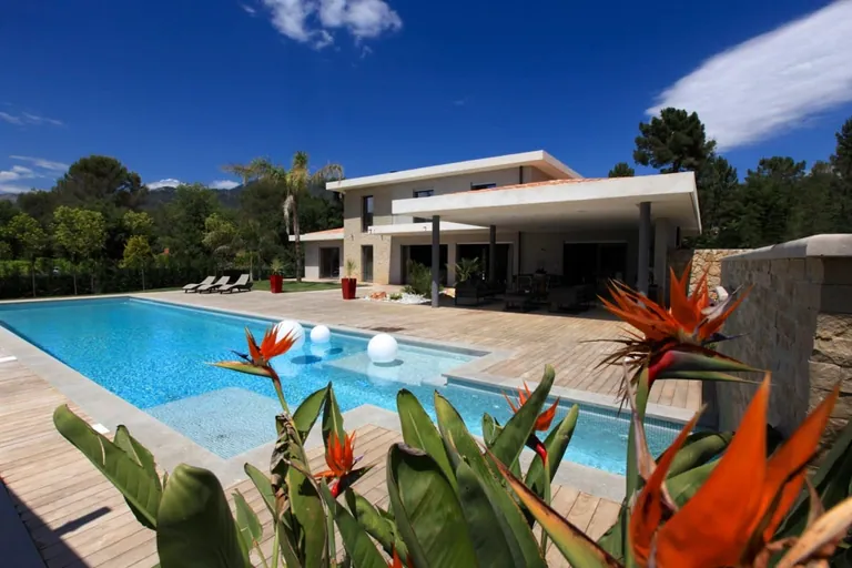 Pool with light globes and flowering birds of paradise, contemporary villa behind